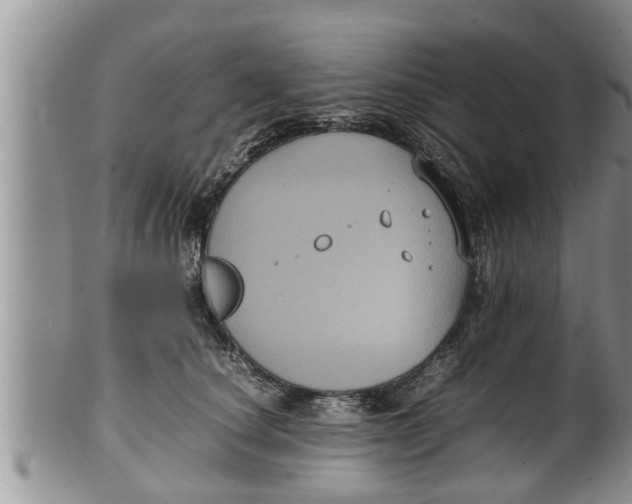 X0000100190660200806201358