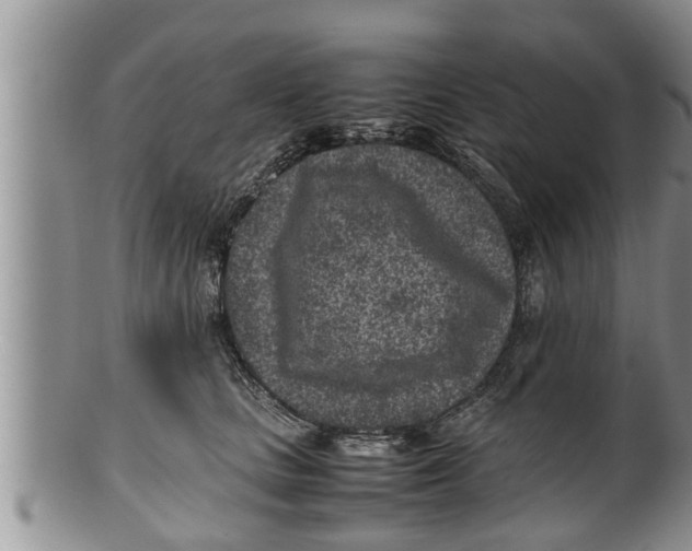 X0000100190661200806201358