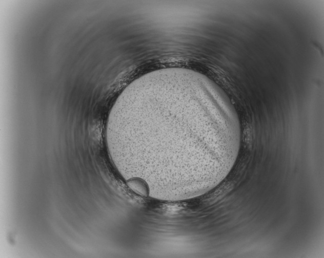X0000100190662200806201358