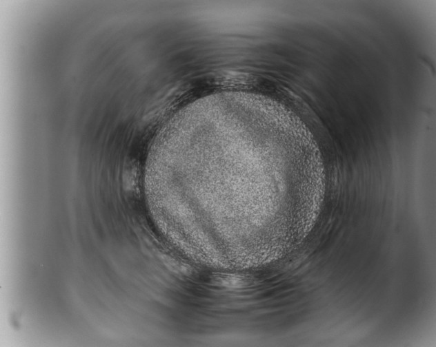 X0000100190663200806201358