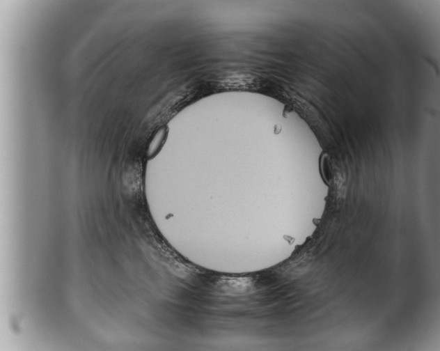 X0000100190665200806201358