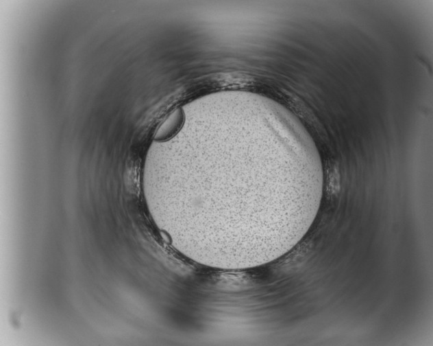 X0000100190666200806201358
