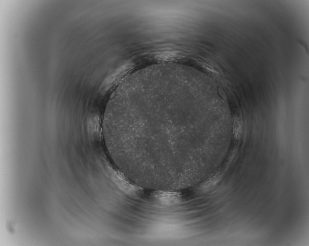 X0000100190670200806201358