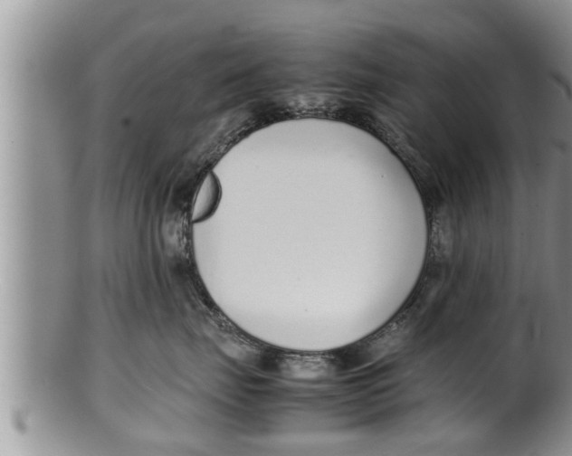 X0000100190671200806201358