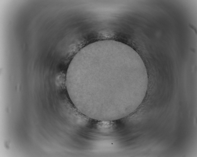 X0000100190672200806201359