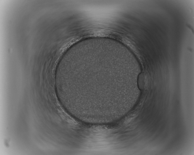 X0000100190673200806201358