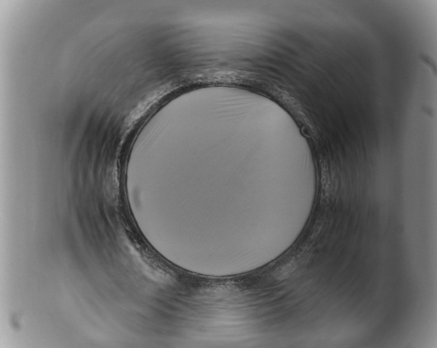 X0000100190674200806201358