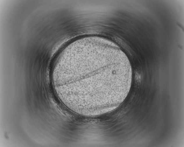 X0000100190676200806201358