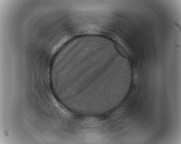 X0000100190677200806201358