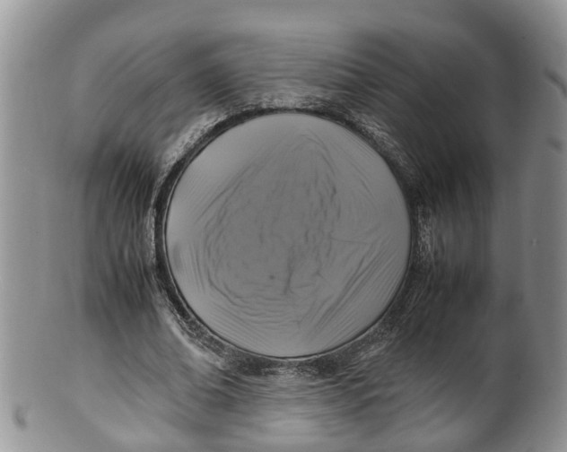 X0000100190678200806201358