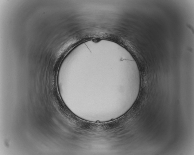 X0000100190679200806201358