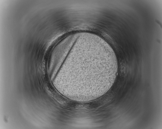X0000100190680200806201358