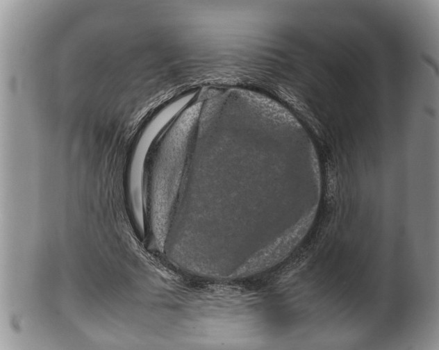 X0000100190681200806201358