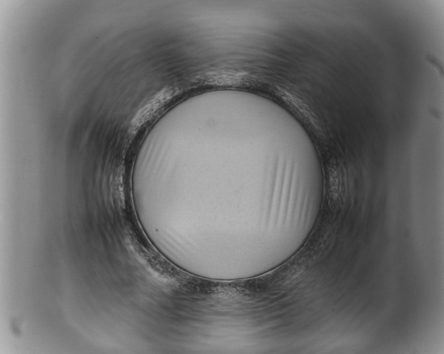X0000100190682200806201358