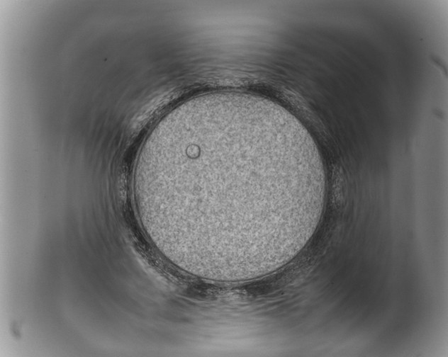 X0000100190683200806201358