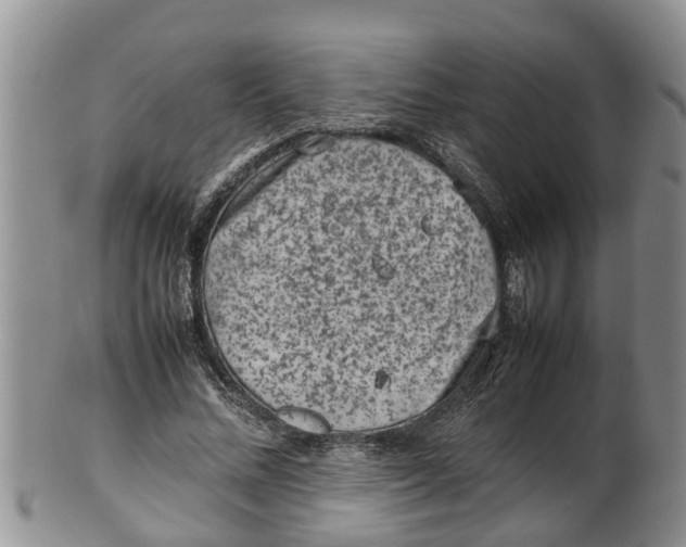 X0000100190684200806201358