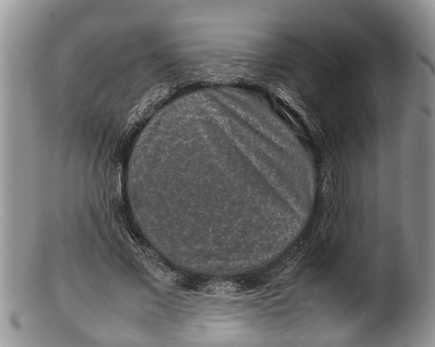 X0000100190685200806201358