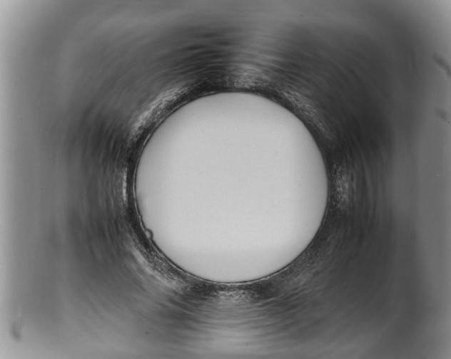 X0000100190686200806201358