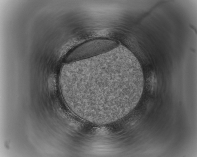 X0000100190688200806201358