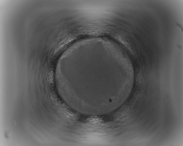 X0000100190689200806201358