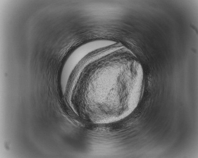 X0000100190691200806201358