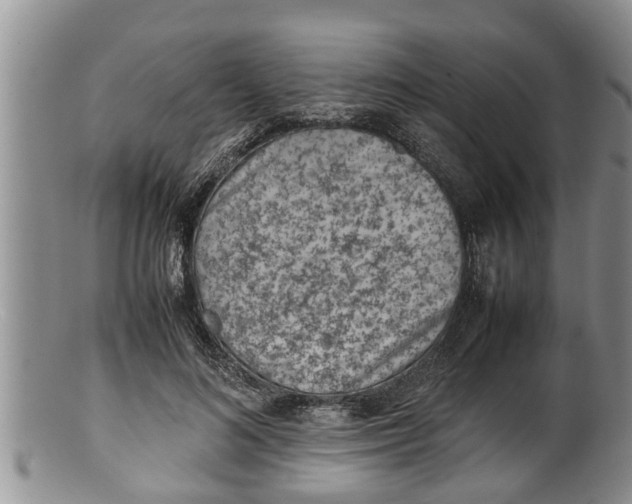 X0000100190692200806201358