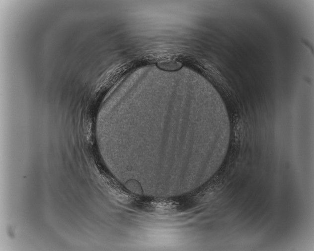 X0000100190693200806201358