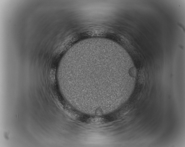 X0000100190695200806201358
