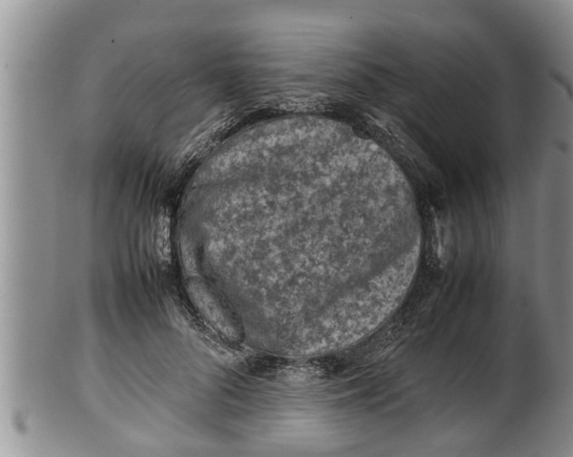 X0000100190696200806201358