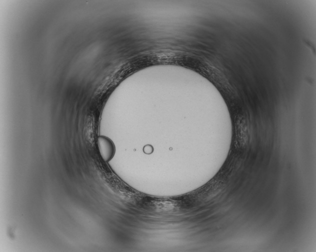 X0000100190698200806201357