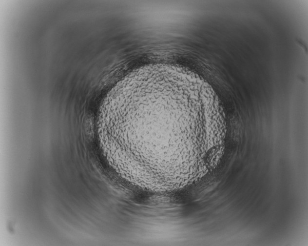 X0000100190699200806201357