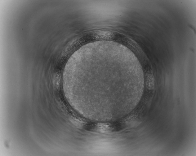 X0000100190701200806201357