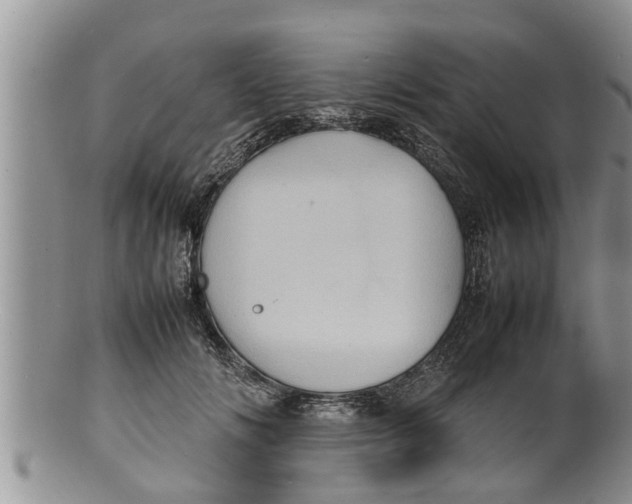 X0000100190702200806201357