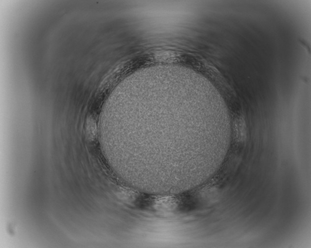 X0000100190705200806201357