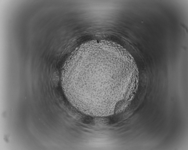 X0000100190707200806201357