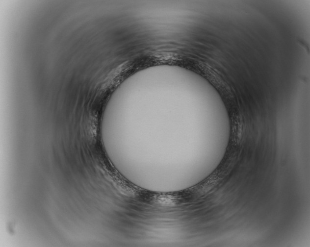 X0000100190710200806201357