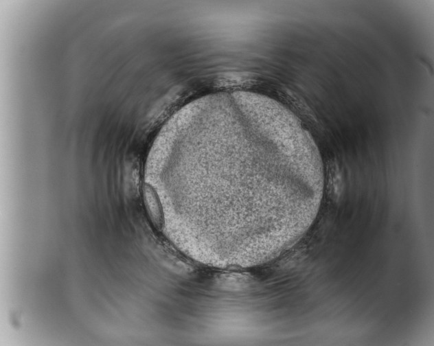 X0000100190716200806201357