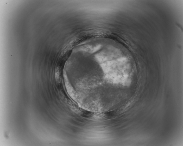 X0000100190720200806201357