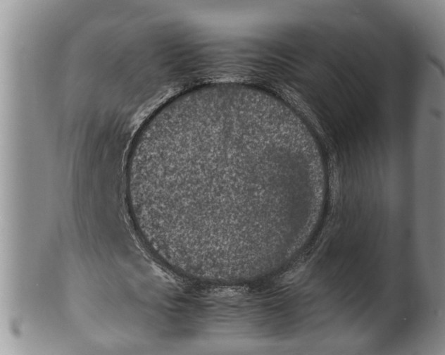 X0000100190721200806201357