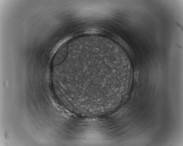 X0000100190724200806201357