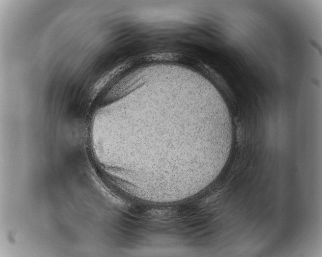X0000100190725200806201357