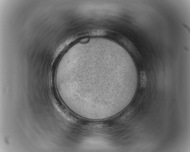 X0000100190726200806201357