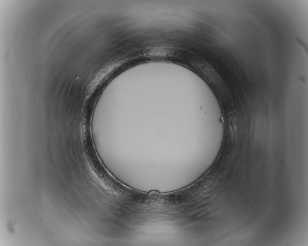 X0000100190728200806201357