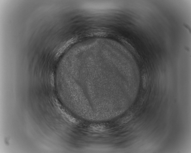 X0000100190729200806201357