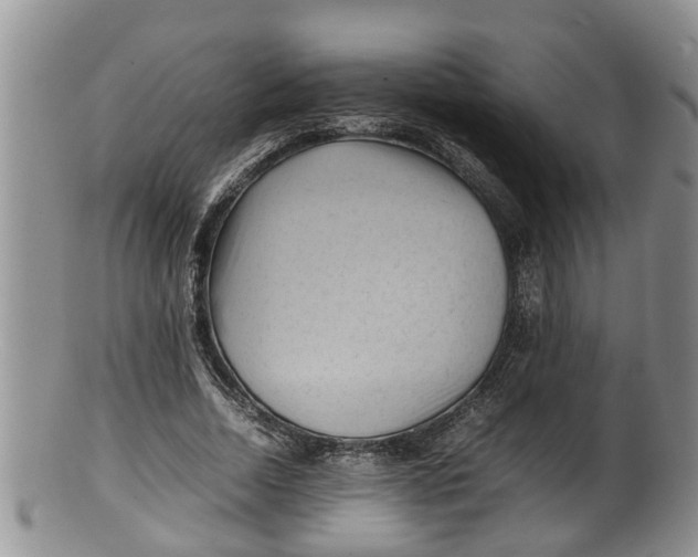 X0000100190730200806201357