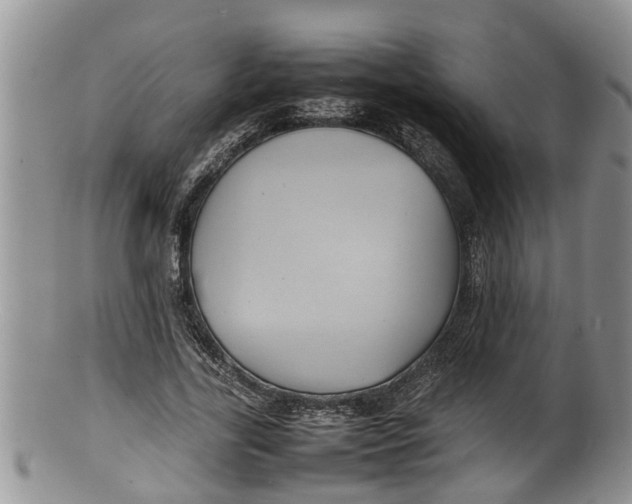 X0000100190731200806201357
