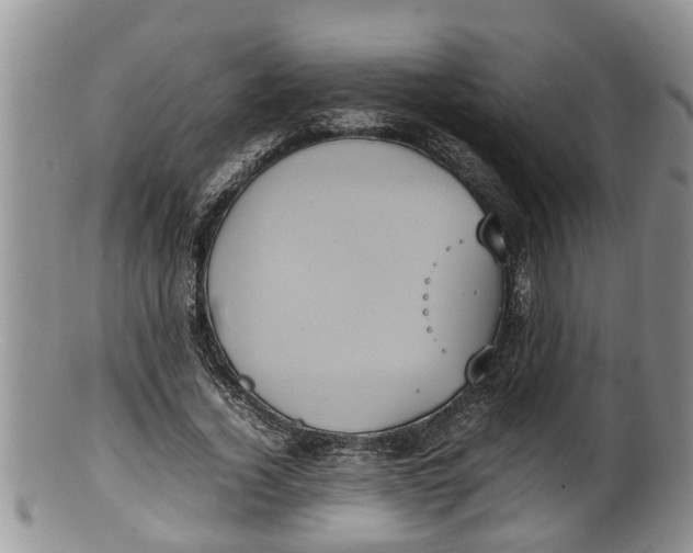 X0000100190732200806201357