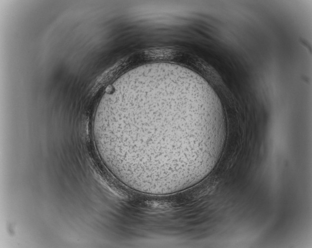 X0000100190733200806201357