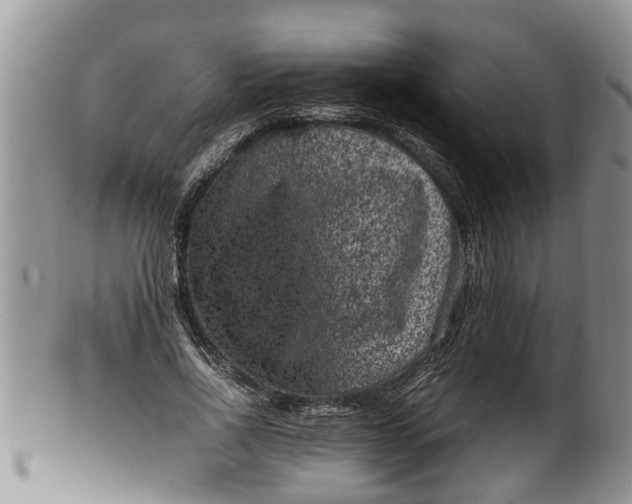 X0000100190734200806201357
