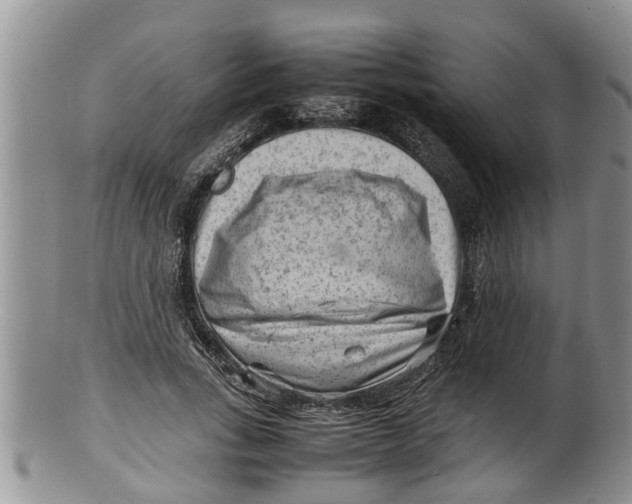 X0000100190735200806201357